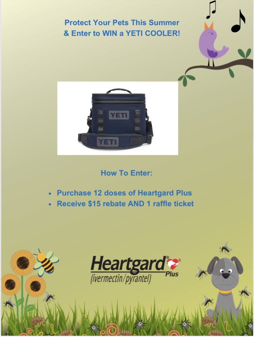 Bravecto and Heartgard Promo Schwenksville Vet